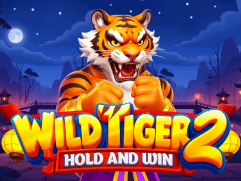 Wild Tiger 2 screenshot